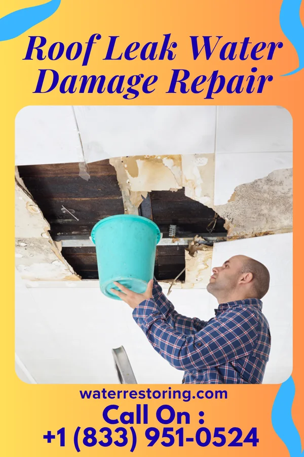 Roof Leak Water Damage Repair in Ojus, FL