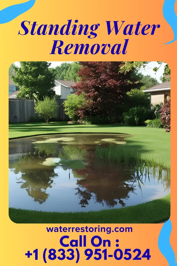 Standing Water Removal in Ojus, FL
